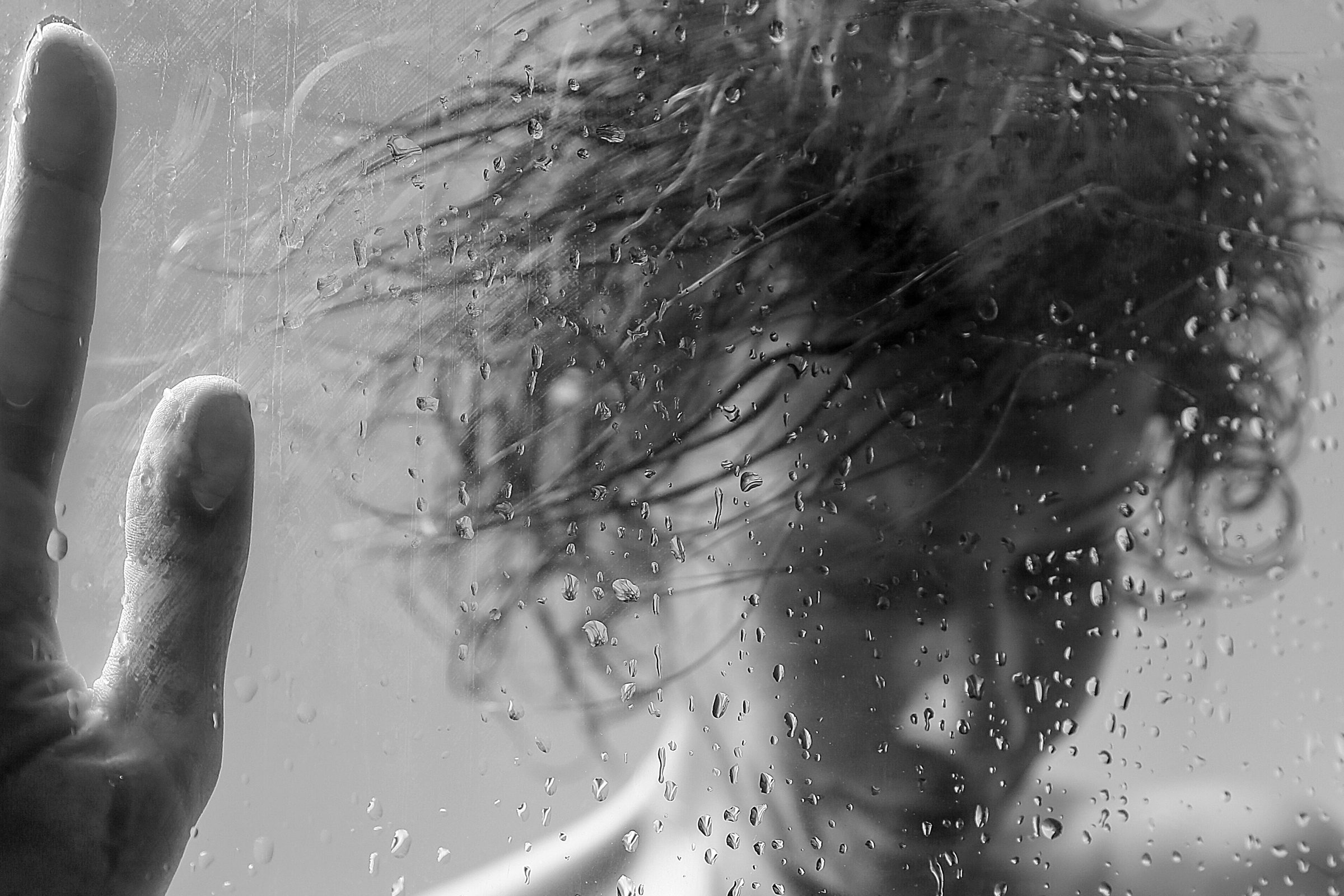 Foto de Rachel Guedes Photo 14