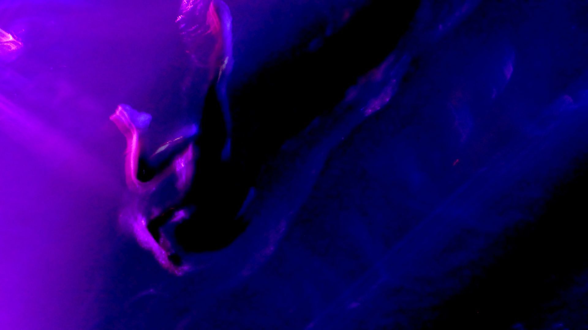 Foto WAYRA - FUERZA BRUTA Foto WAYRA - FUERZA BRUTA - Imagem 3